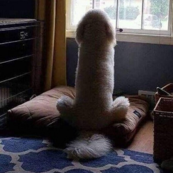 Profile picture of sanjeewa