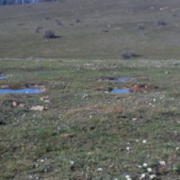 Profile picture of ballom omar