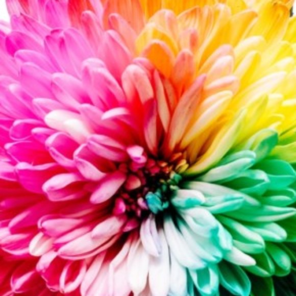 Profile picture of Mevan