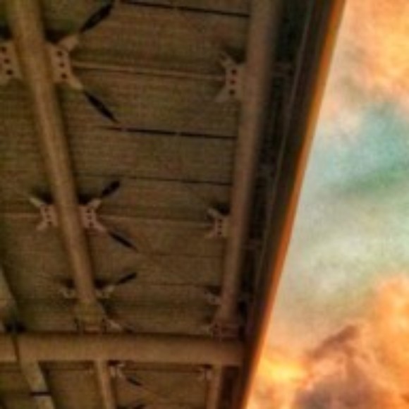 Profile picture of Hasith