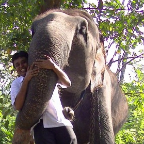 Profile photo of Lasantha rathnayake