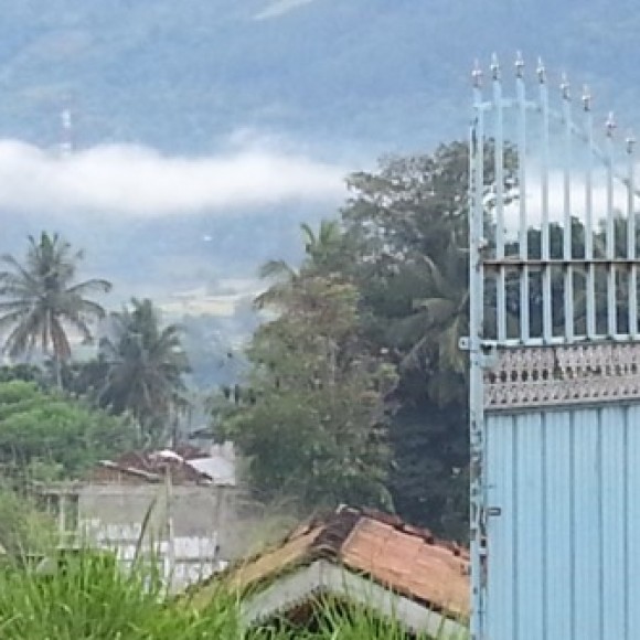 Profile photo of Mega786