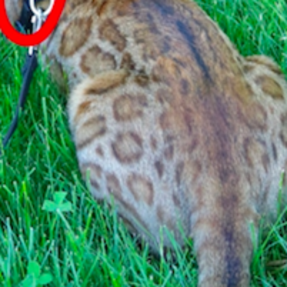 Profile picture of mashfernando