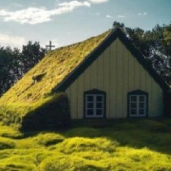 Profile picture of dihara herath