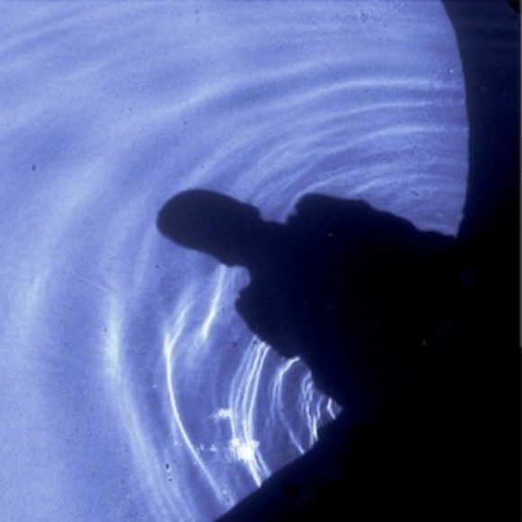 Profile picture of Niko Kaldan