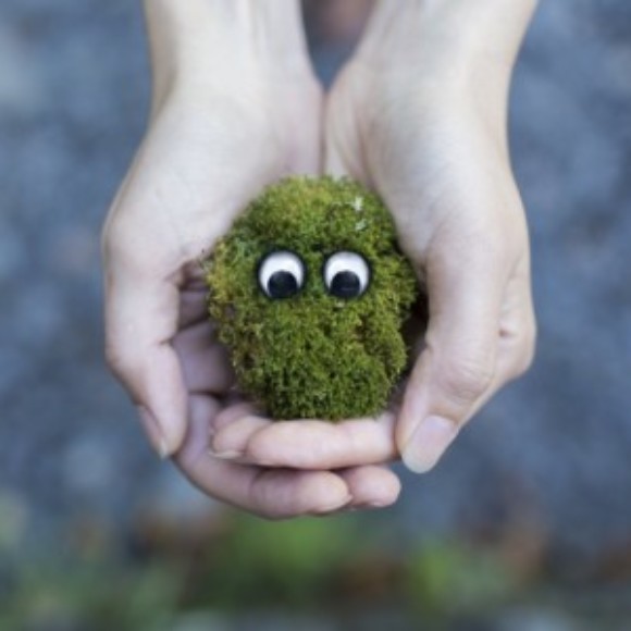 Profile picture of Yoshan