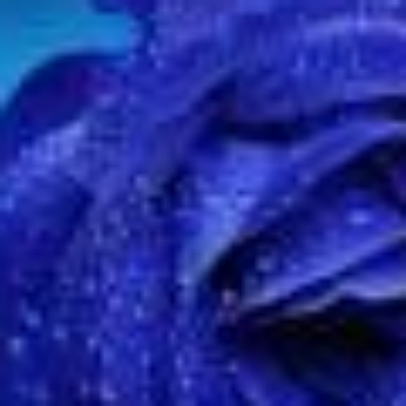 Profile photo of shruthimus