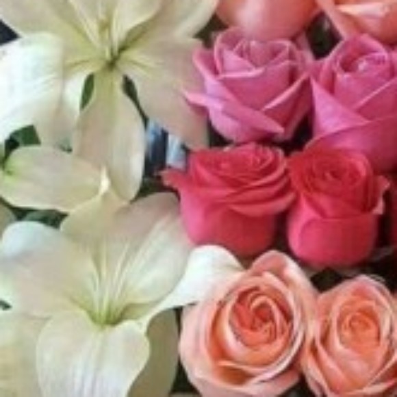 Profile picture of prasad91