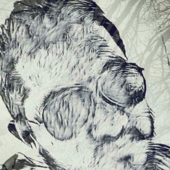 Profile picture of Sadunt