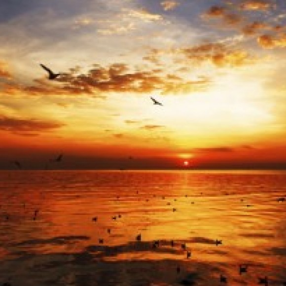 Profile photo of davidlee