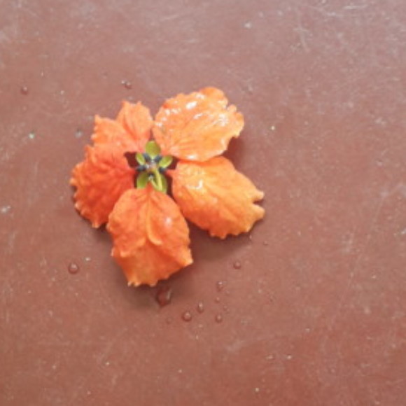 Profile picture of Vishal