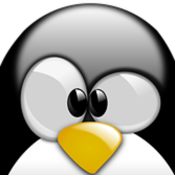 Profile picture of lakmal