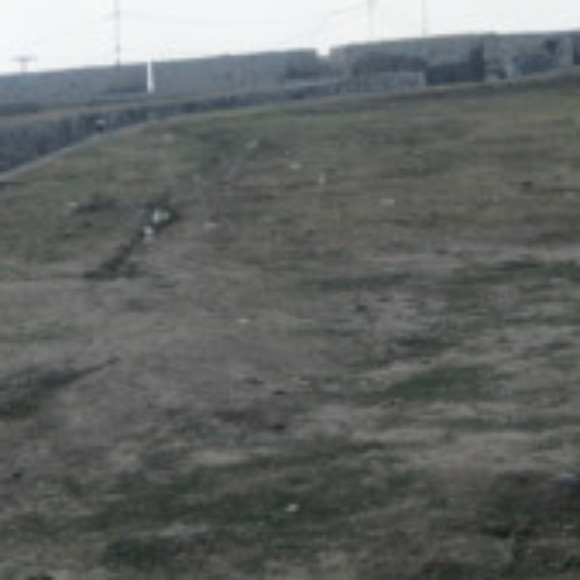 Profile picture of T Kumara