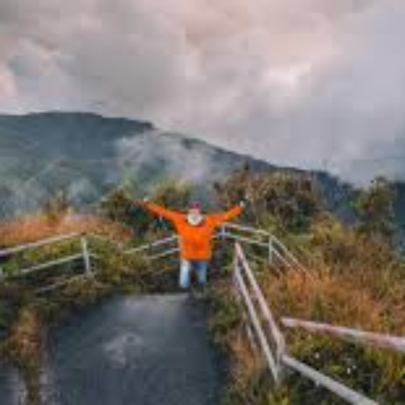 Profile photo of Anee Adenan