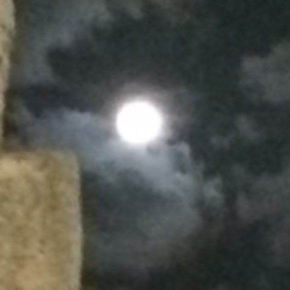 Profile photo of Raveen &Sheronne Perera