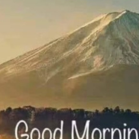 Profile picture of kavi