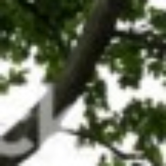 Profile photo of Juan Diego