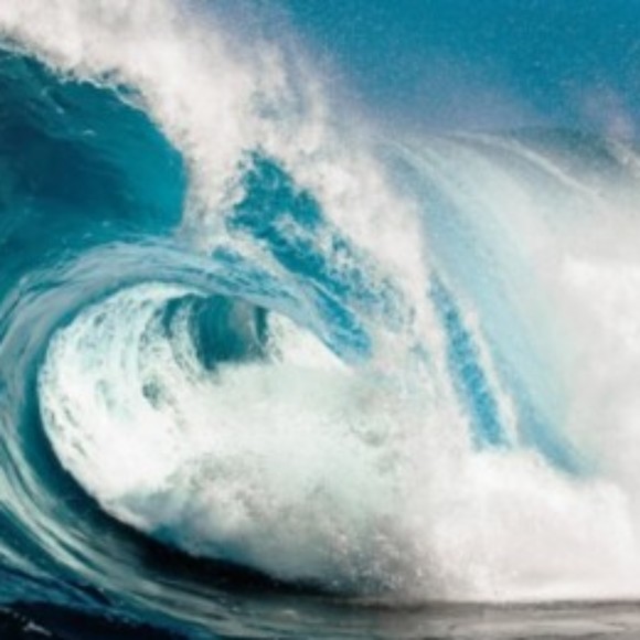 Profile picture of wasantha hapugoda