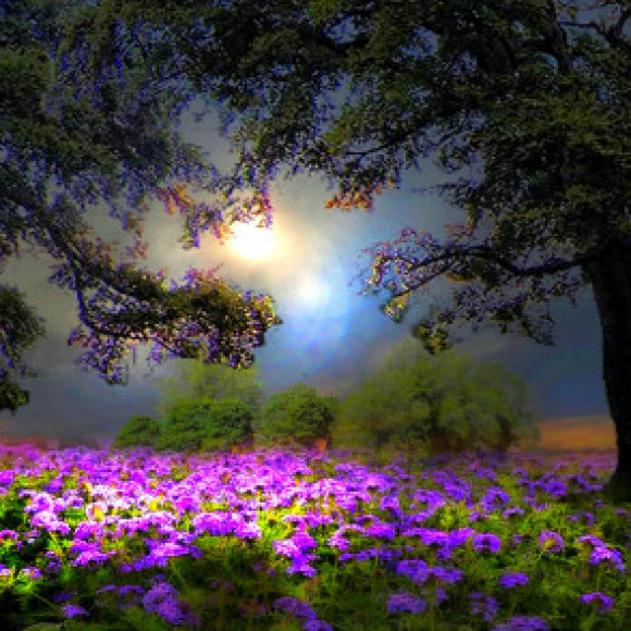 Profile photo of niranga iroshana