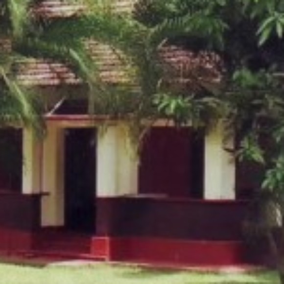 Profile photo of ruwan