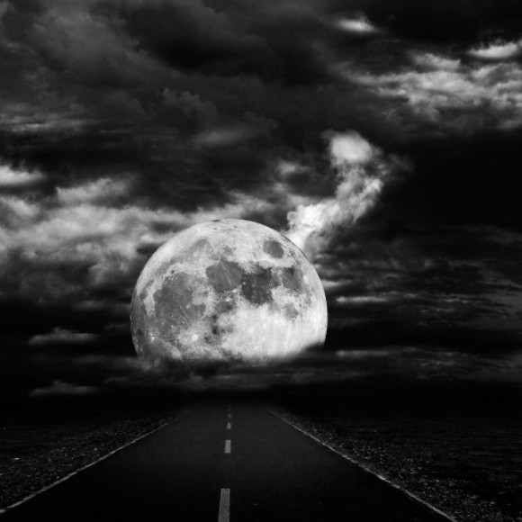 Profile photo of Romesh sanjeewa