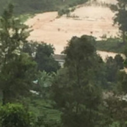 Profile photo of asasl