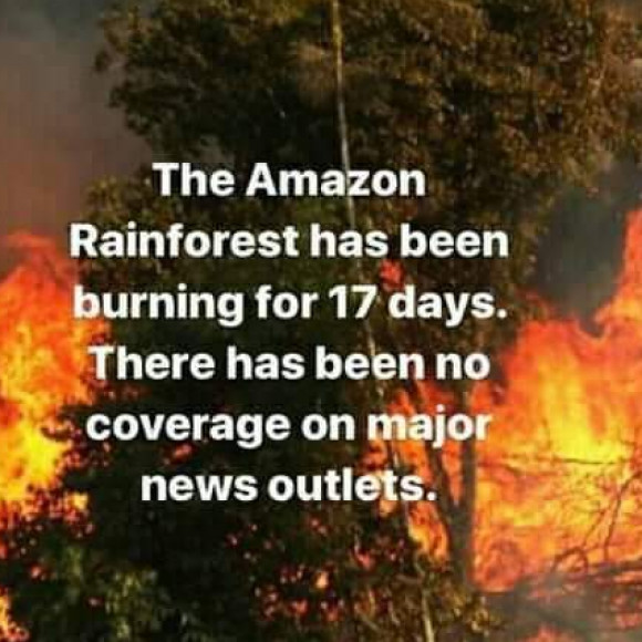 Profile picture of Shiran Perera