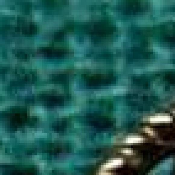 Profile photo of niroshi