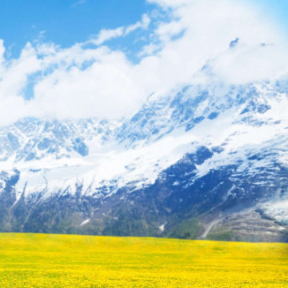 Profile picture of Triya tani