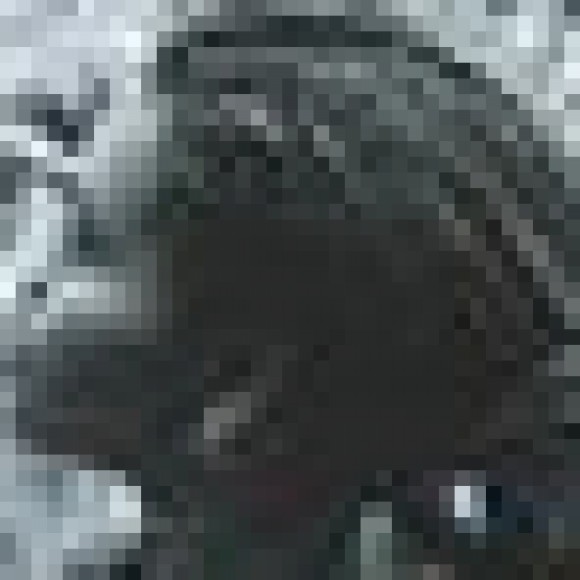 Profile photo of ravi