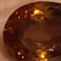 Profile photo of Sumo