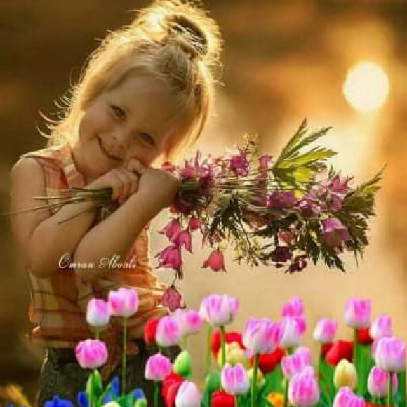 Profile photo of Niro dil