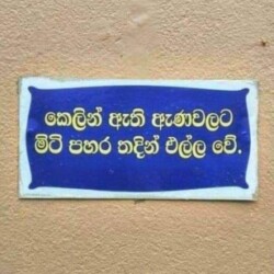 Profile picture of Daminda