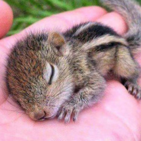 Profile photo of vfvffarshanvfvfva