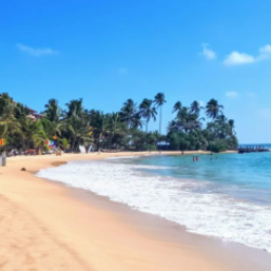 Profile photo of Nilanka