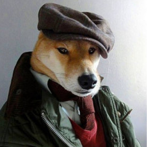 Profile photo of Ruwan Tharanga