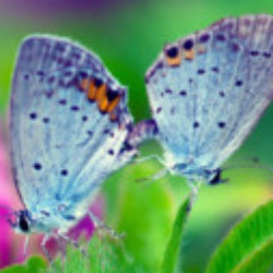 Profile picture of Prasad