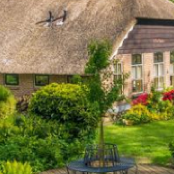 Profile picture of Liyanage