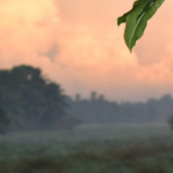 Profile photo of Anji