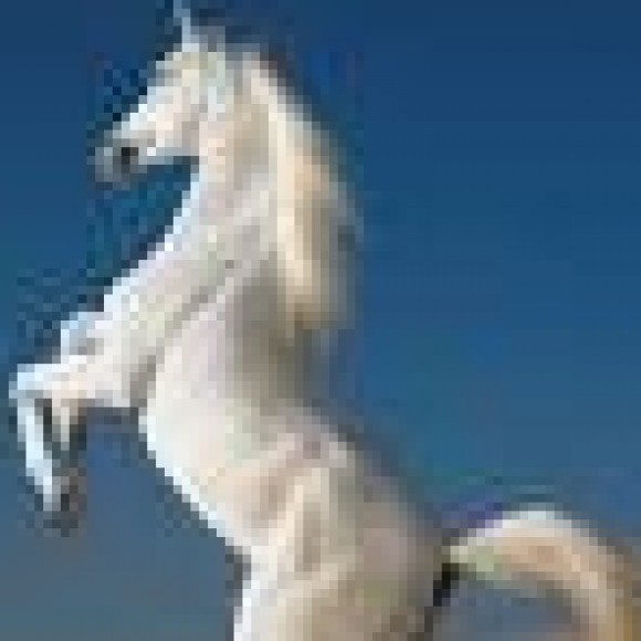 Profile picture of colombo