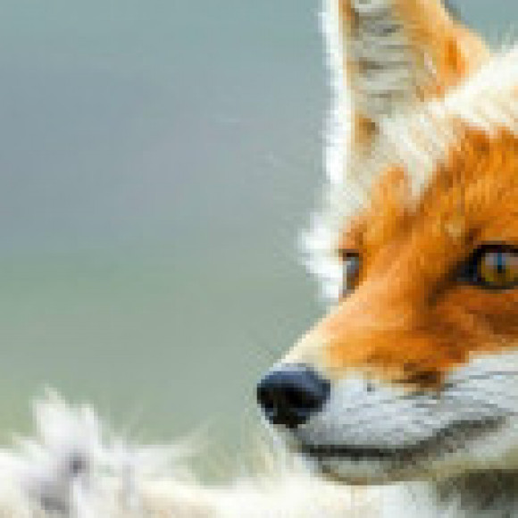 Profile picture of kawindra Ab