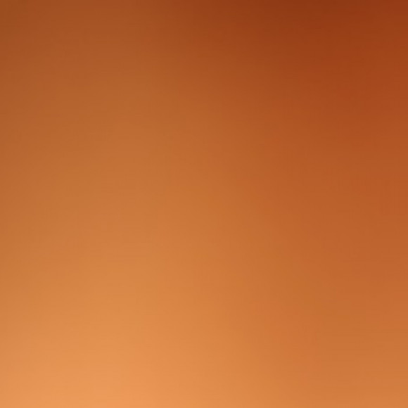 Profile photo of Ranjan