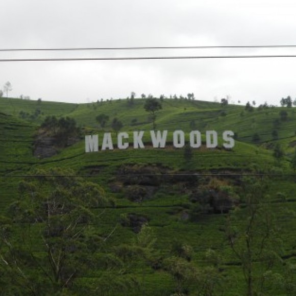 Profile photo of Charitha Dis