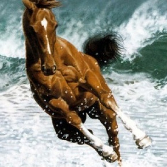 Profile picture of Jeewaka Samansiri