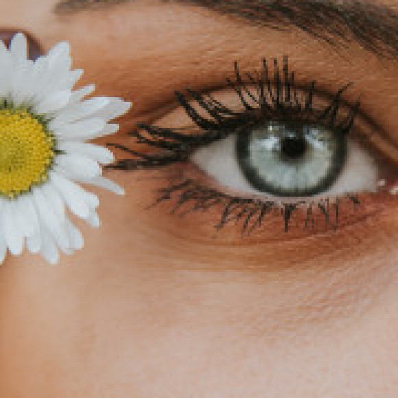 Profile photo of vikasitha lakmal