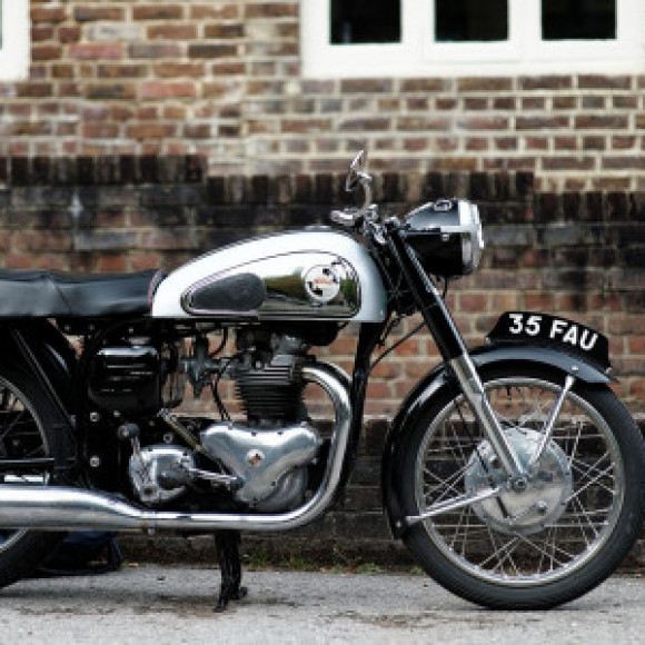 Profile photo of thushan