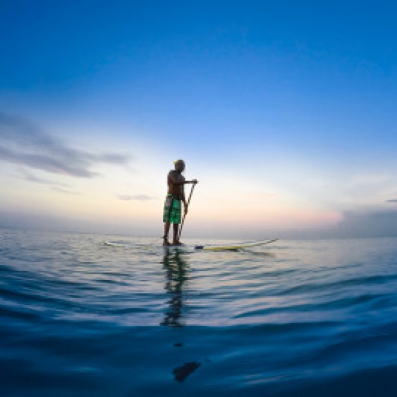 Profile photo of sanda..ruwan