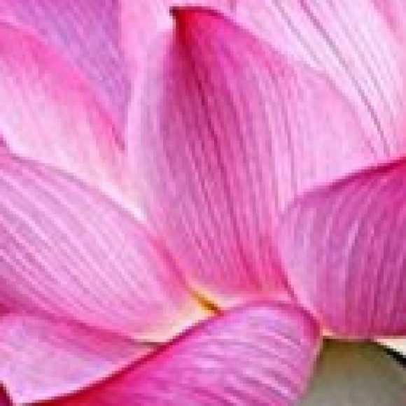Profile photo of sadun buddika kumara