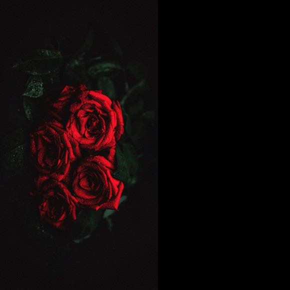 Profile picture of Ishan