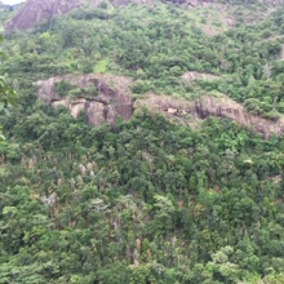 Profile picture of Kapila S A K S Rathnasekara